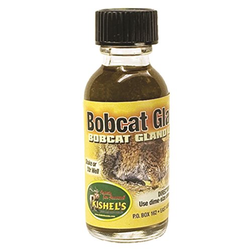 Kishels Bobcat Gland Lure, 1-Ounce