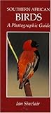 Southern African Birds: A Photographic Guide by 