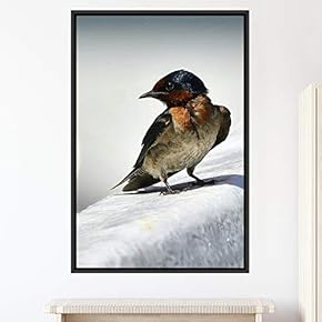 signwin Framed Canvas Wall Art Single Bird Birds...