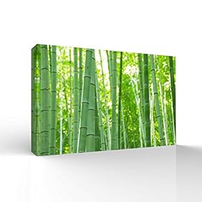 Wall26-Canvas Wall Art-Quiet Bamboo Grove-Giclee Painting Wall Bedroom Living House Decoration Home Art - 12x18 inches