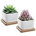 Set of 2 Decorative Small White Square Ceramic Succulent Plant Pot w/Bamboo Draining Tray - MyGift