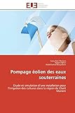 Image de Pompage éolien des eaux souterraines: Étude et simulation d’une installation pour l’irrigation des cultures dans la région de Chott Mariem (Omn