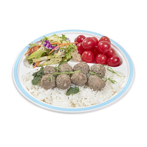 Restaurantware Plates 100 Pack of 10.15 Inch Bagasse Sugarcane Pulp Dessert Ser…