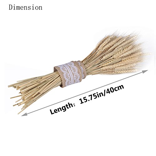 image for Etyhf Golden Dried Natural Wheat Sheave Bundle Premium Fall Arrangemen
