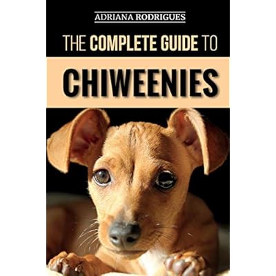 Comprehensive Chiweenie Care Guide: Find, Train, Kuwait Ubuy