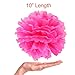 Paxcoo 15 Pcs Color Tissue Paper Pom Poms with 12 Rolls Crepe Paper Streamers for Party Decorations