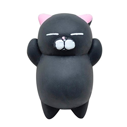 black cat squishy
