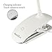 HandAcc Clip Desk Lamp Dimmable LED USB Reading Light with Sturdy Gooseneck for Desk, Bed Headboard and Computers(White)