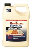 Thompsons Water Seal A11701 1-Gallon Advanced Maximum Strength One-Coat Waterproofed