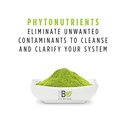 Nubeleaf Broccoli Powder - Non-GMO, Gluten-Free, Raw, Organic, Vegan Source of Essential Vitamins & Minerals - Single-Ingredient Nutrient Rich Superfood for Cooking, Baking, Smoothies (6oz)