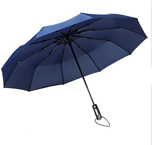 Travel Umbrella,10 Ribs Finest Windproof Umbrella,210T Finest Waterproof Fabric One Handed Operation Auto Open Close and Upgraded Comfort Handle, For Business Travel Women and Men (Blue-YS)