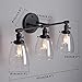 Phansthy 3 Light Industrial Wall Sconce Black Sconces with 5.6 Inches Dome Shape Clear Glass Shade for Bathroom Vanity Mirror, Black