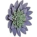 Purple Succulents Metal Wall Flowers Botanical Purple Succulent Metal Wall Decor