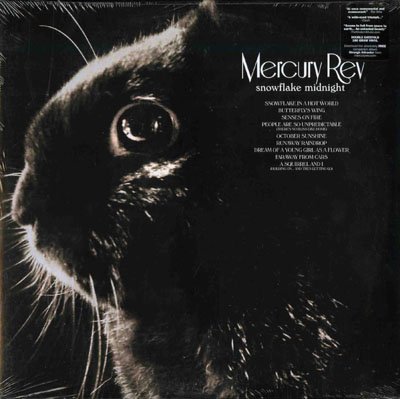 Mercury Rev - Strange Attractor - Zortam Music