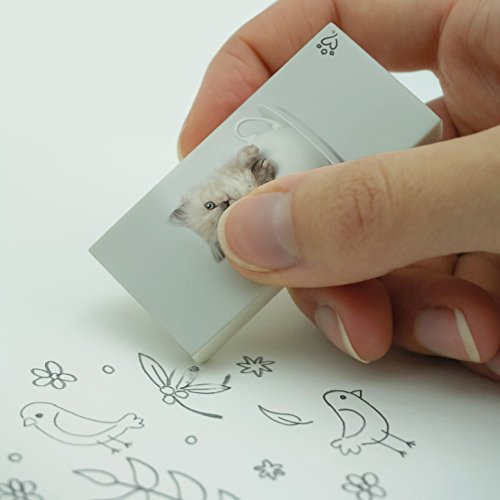 Ragdoll Tiffany Cat Kitten Tea Cup Ride Eraser Set of 2