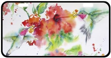 Hummingbird License Plate with High Quality-11.8" X 6.1" inches-Black Trim