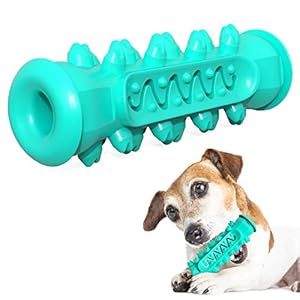 Juguete para Perros Molar, Juguete Molar Multifuncional para Mascotas,Resistentes a la Mordedura Juguetes para Masticar Perros de Goma Natural Juguete para Limpieza Juguete Interactivo Perro