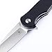Kizer Cutlery Folding Pocket Knives Flipper Knife Drop Point Blade Black G10 Handles Tactical EDC Knife, Barbosa V3487A1