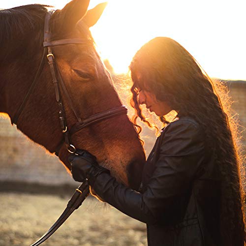 ROARINGWILD Horse Riding Crop Natural Elastic Tough Bamboo Style Crops