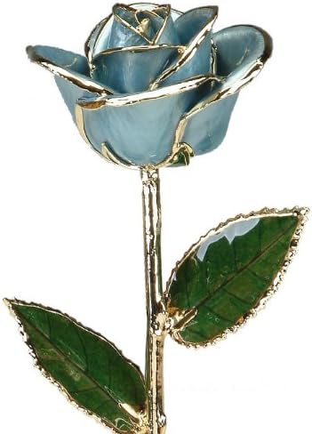 Allmygold Jewelers Powder Blue Laquered 24k Gold Dipped Long Stem Genuine Rose in Gift Box