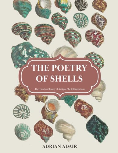 The Poetry of Shells: The Timeless Beauty of Antique Shell Illustrations