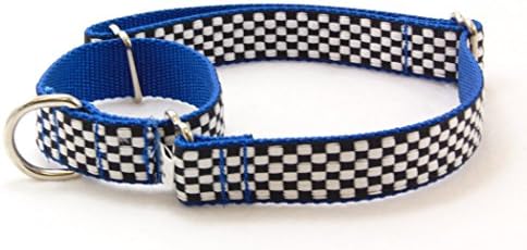 Monterey Blue Speedway Martingale Dog Collar (LG-1"x16"-25")