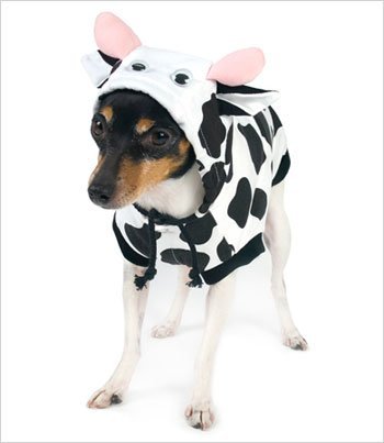 Cow Costume for Dogs