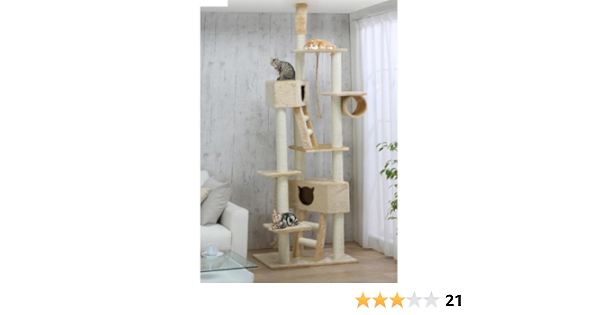 cat gym amazon