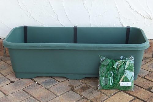 Amazon Co Jp 苗から育てる緑のカーテン栽培セット ナーベラー 食用ヘチマ ホーム キッチン