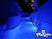 Tree Leds Interior Boat Light Marine Strip Utility LED Deck Lights for Boats 12 Volts (Pack of 2)