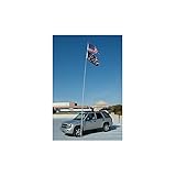 Flagpole To Go TTTM Tailgaters Tire Mount - Silver