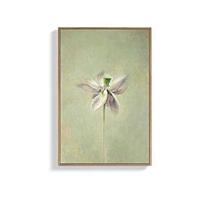 Framed Canvas Wall Art for Living Room, Bedroom Zen Lotus Canvas Prints for Home Decoration Ready to Hanging - 16x24 inches