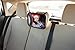 Large Rear View Baby Mirror #1 Best Car Accessory for Caring Parents with Cute Infants – Adjustable Back Seat Baby Mirror for Car – Guaranteed Constant View of Your Baby While Driving (Black)