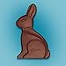 DOVE Easter Bunny Milk Chocolate Candy Gift, 4.5 oz