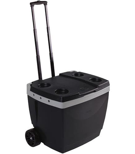 Caixa Térmica 45 Litros Azul Royal 101387451807 Invicta | Amazon