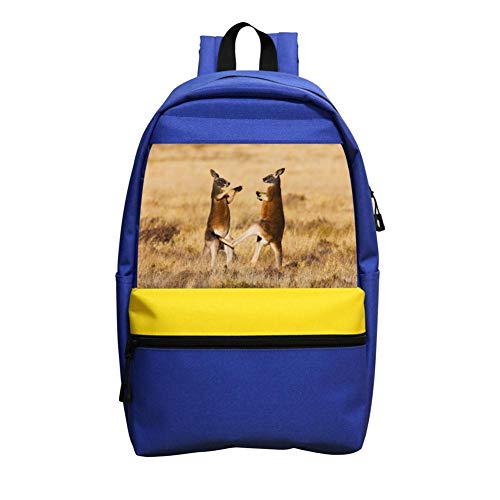 Fight Kangaroo Funny School Backpack for Girls Boys Students School Bag