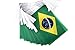 TSMD Brazil Flag, 100 Feet Brazilian Flag National Country World Flags Banner,Party Decorations for Olympics,World Cup,Bar,School Sports Event,International Festival Celebration (8.2