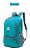 IdealTech Lightweight Packable Backpack