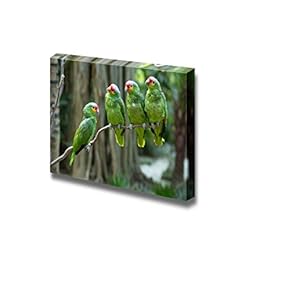 Canvas Prints Wall Art - Four Green Parrot Birds Sitting on The Perch | Modern Wall Decor/Home Decoration Stretched Gallery Canvas Wrap Giclee Print & Ready to Hang - 12" x 18"