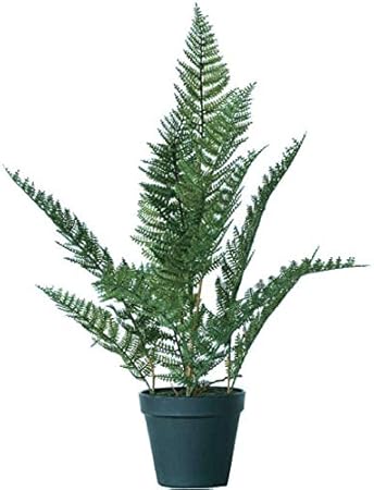 Amazon Co Jp 人工観葉植物 ファーンポット56 1個 650 1 シダ植物 代引き不可 インテリアグリーン 造花 Pot Fern P67 おもちゃ