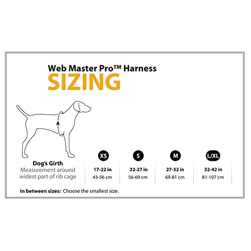 ruffwear webmaster sizing