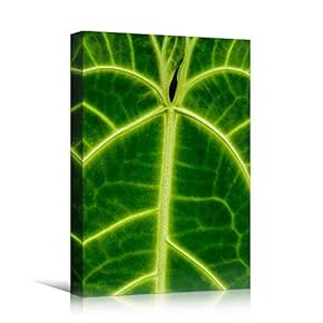 signwin Canvas Wall Art Leaves Arrangement Abstract Colorful...