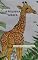 Livro A PEQUENA GIRAFA