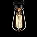 Vintage Light Bulb 60W, Elfeland Antique Style Edison Bulb ST58, Squirrel Cage Filament Teardrop Top, 337 Lumens Dimmable Incandescent Light Bulb, E26/E27 Medium Base (6 Pack)