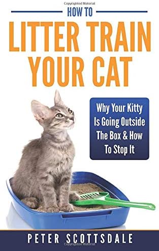 How To Litter Train Your Cat: Why Your Kitty Is Going Outside The Box & How To Stop It