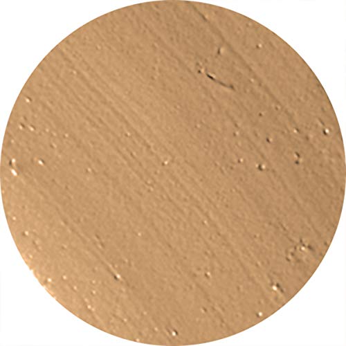 AMAZING COSMETICS Smooth Creme Concealer & Foundation, Light Golden