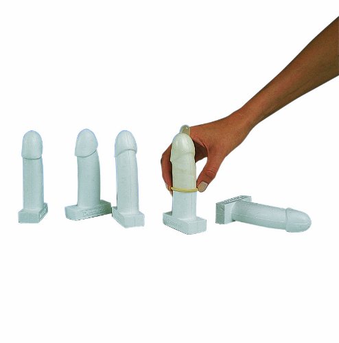 3b scientific w19101 condom training model, 5.7" height