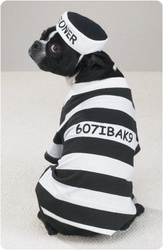 X-SMALL - Prison Pooch Halloween Costume
