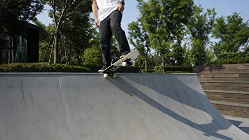 5 DINBIN+Skateboard+Complete+Skateboards+Canadian