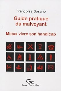 Guide Pratique Du Malvoyant Mieux Vivre Son Handicap - 